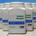 aspergillus oryzae serbuk