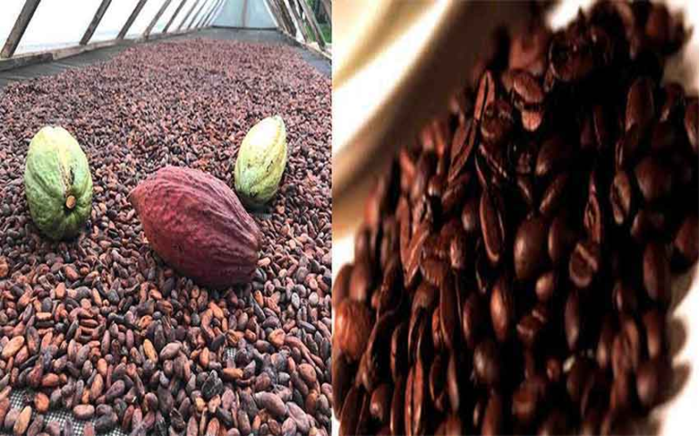 Peluang Bisnis dengan Memanfaatkan Selulase untuk Berbagai Bidang