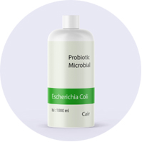 Starter Microbial