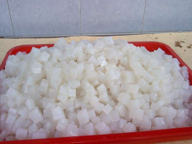 Peluang Bisnis Nata De Soya