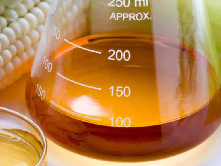 Proses Pembuatan Gula Sirup Fruktosa
