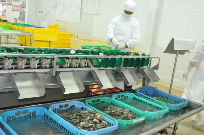 Pemanfaatan Bioteknologi pada Industri Perikanan