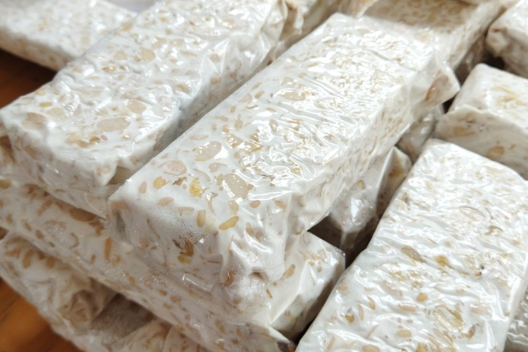 Peluang Bisnis Tempe Kedelai