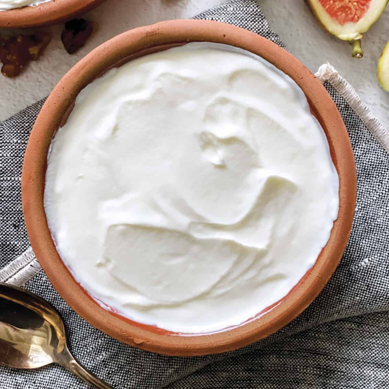 Mengenal Bakteri dalam Pembuatan Yogurt